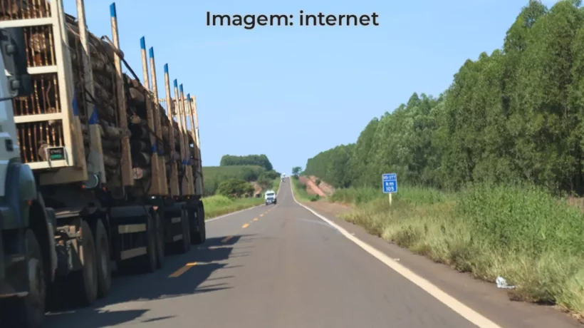 Rodovia MS-420 entre Paranaíba e Inocência