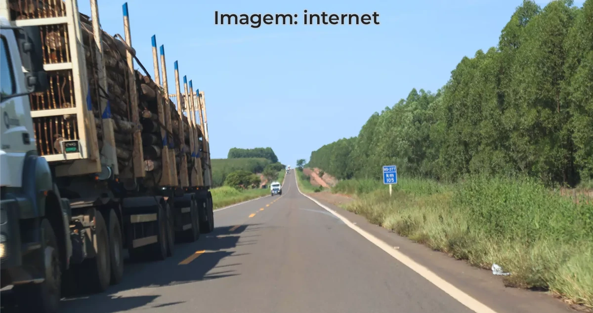 Rodovia MS-420 entre Paranaíba e Inocência