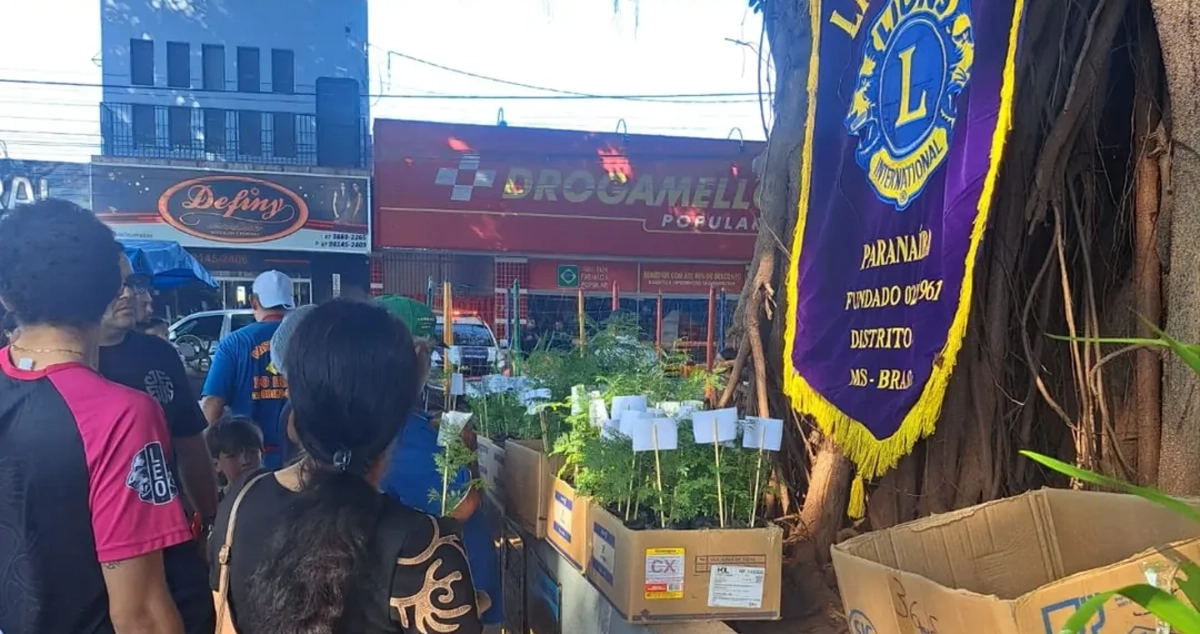 Lions Clube de Paranaíba distribui mudas de árvores para deixar a cidade mais verde