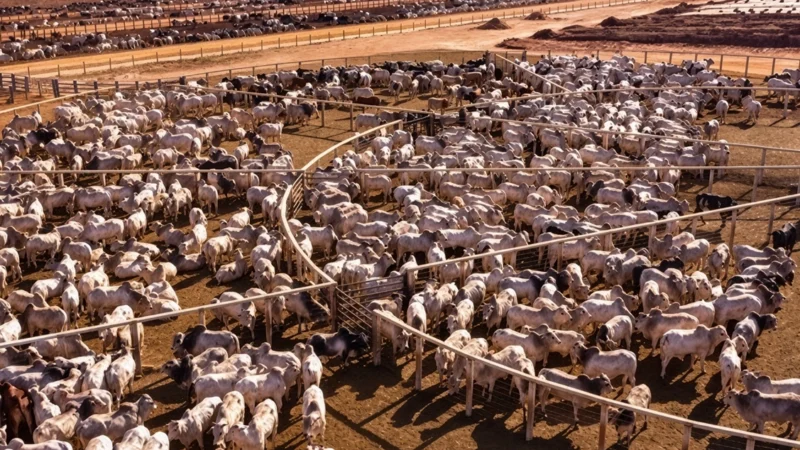 Algar Farming abre vagas de emprego em Paranaíba